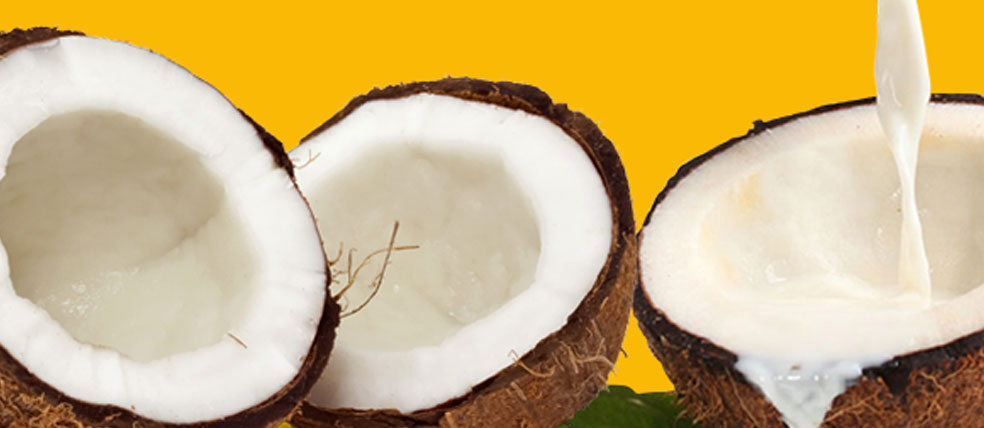 Heavenly Tasty - Baby Food Ingredients Coconut